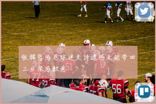 张稀哲感恩球迷支持遗憾未能带回三分深感歉意